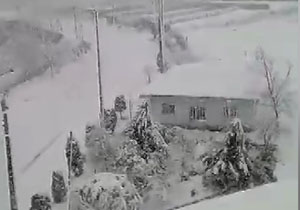 بسته