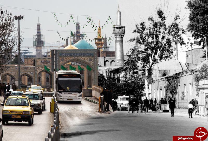 وین رونی و پسر یک روزه اش/رضا صادقی و خانواده اش/رامبد جوان و فروتن/اوج ترس یک گنجشک