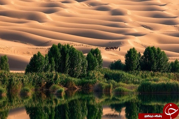 تکه ای از بهشت در قلب جهنم +تصاویر