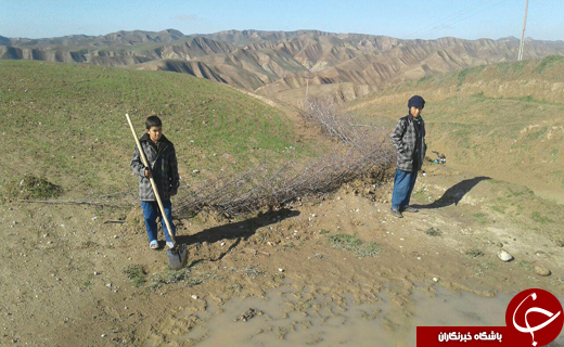 یک زمین با دو صاحب + تصاویر یک زمین با دو صاحب + تصاویر