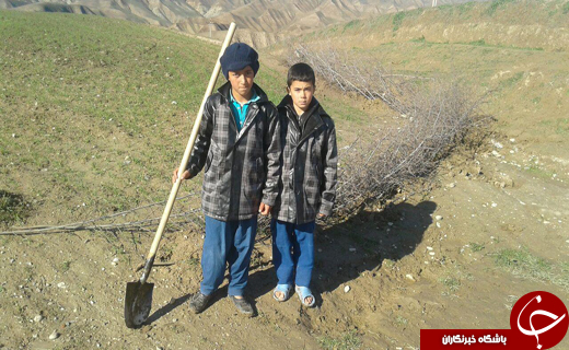 یک زمین با دو صاحب + تصاویر یک زمین با دو صاحب + تصاویر