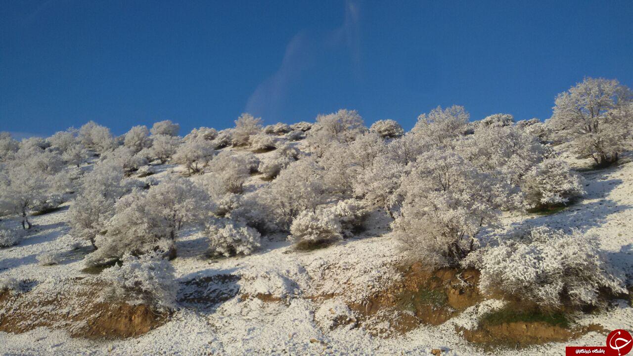 روز برفی گیلانغرب + تصاویر