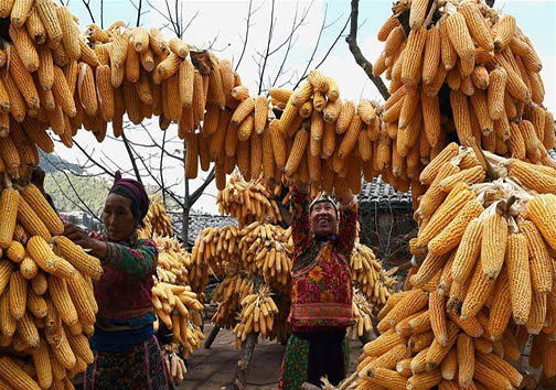 تدارک مقدمات جشنواره&zwnj;ی بهاره در چین + تصاویر