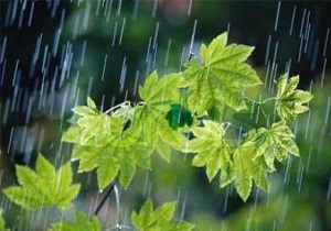 رگبار باران میهمان آسمان استان
