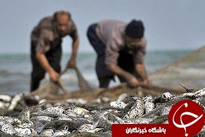 روش‌های صید، به زیان منابع دریایی