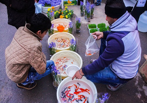 عرضه کنندگان کالاهای نوروزی زیر ذره بین