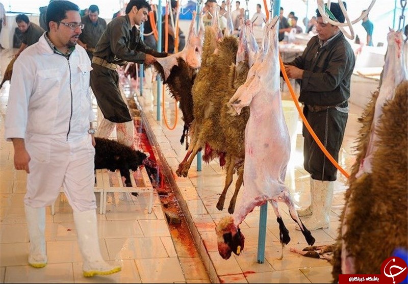 طرح بسیج سلامت نوروزی در همدان اجرا می&zwnj;شود