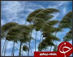 وزش باد با سرعت 55 کیلومتر بر ساعت در همدان