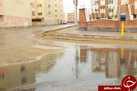 بارش باران و برف در استان سمنان + تصاویر