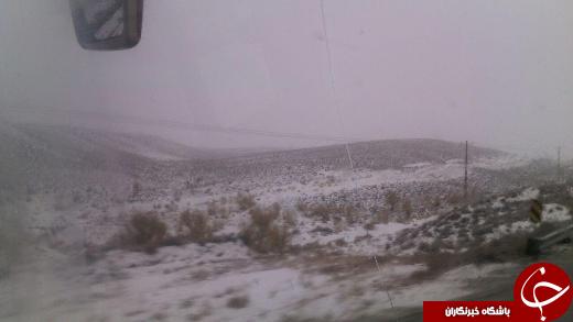 بارش باران و برف در استان سمنان + تصاویر