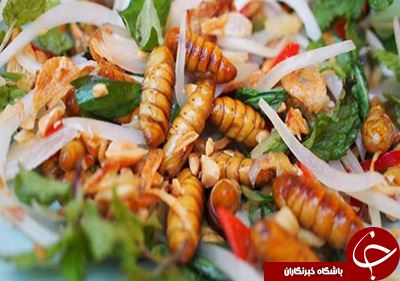 چندش آورترین غذاهای دنیا+تصاویر