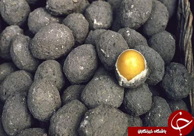 چندش آورترین غذاهای دنیا+تصاویر