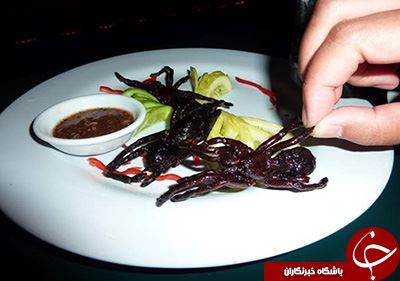 چندش آورترین غذاهای دنیارا بشناسید+تصاویر