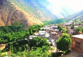 شیت بهشتی در دل طارم