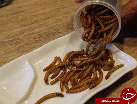 عجیب ترین غذاهای فضانوردی چینی+تصاویر