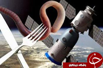 عجیب ترین غذاهای فضانوردی چینی+تصاویر