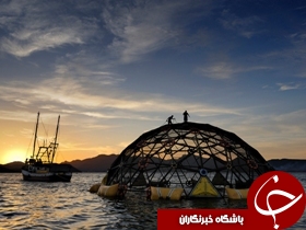 رتبه بیستم آبزی پروری جهان از آن ایران