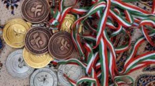 افتخارآفرینی ورزشکاران یزدی بامدال های رنگارنگ