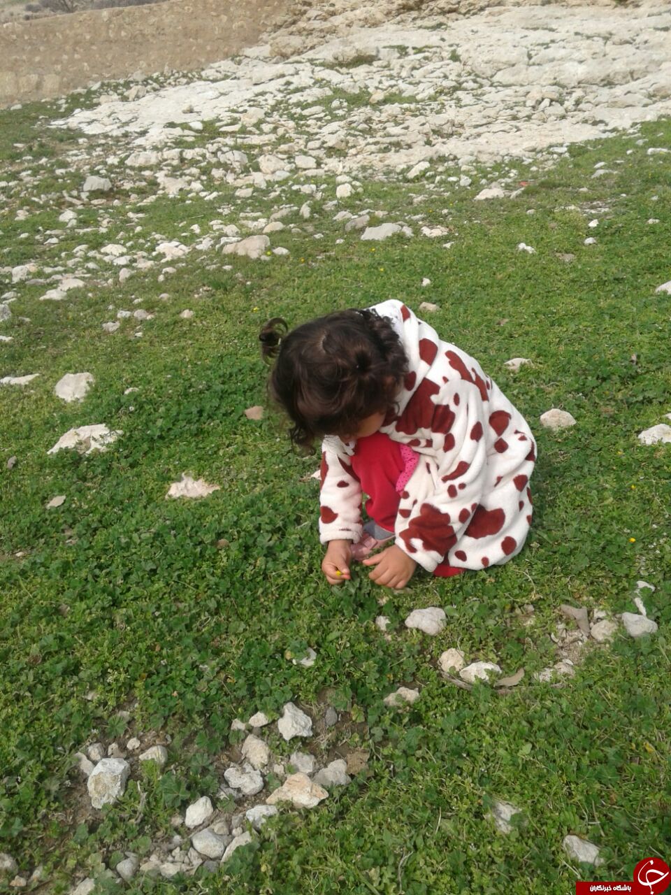 طبیعت دل انگیز بهاری در روستای حریر + تصاویر