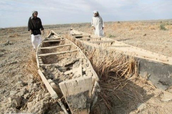 از خشکی هورالعظیم تا نابودی قورباغه درختی خوزستان