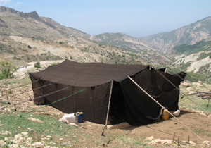 نوروزگاه شیراز را از دست ندهید