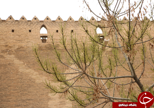 شیراز به استقبال بهار می رود