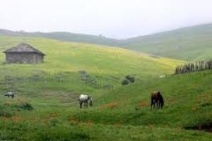 نیروی انسانی مهم‌ترین رکن برای حفاظت از منابع طبیعی