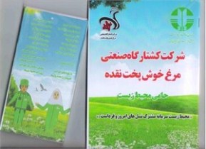 کشتارگاه صنعتی مرغ خوش پخت نقده