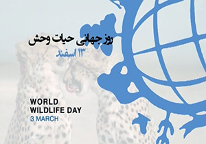 13 اسفند روز جهانی حیات وحش + فیلم