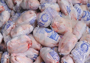 صادرات 800 تن گوشت مرغ از چهارمحال و بختیاری