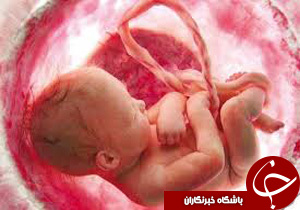 نرم‌افزاری که اضطراب والدین تحت درمان IVF را کاهش می‌دهد + تصاویر