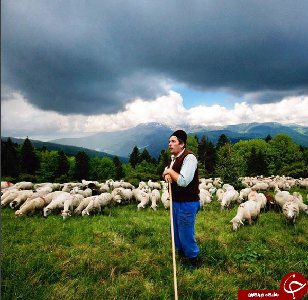ثبت لحظه های ناب در اینستاگرام نشنال جئوگرافیک(قسمت دوازدهم)
