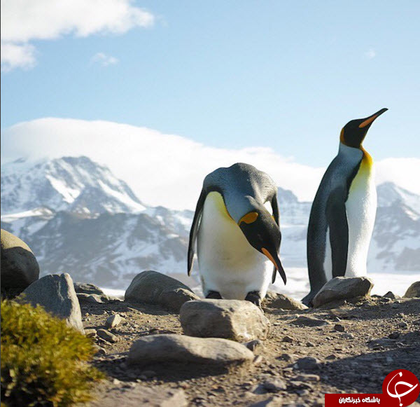 ثبت لحظه های ناب در اینستاگرام نشنال جئوگرافیک(قسمت دوازدهم)