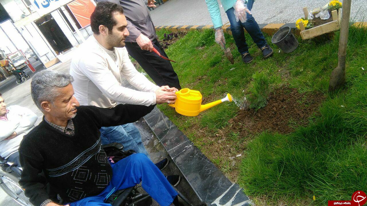 کاشت درخت در هفته درختکاری + تصاویر