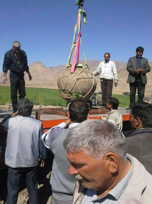 کشف کوزه و سه هزار سکه در مرودشت+عکس