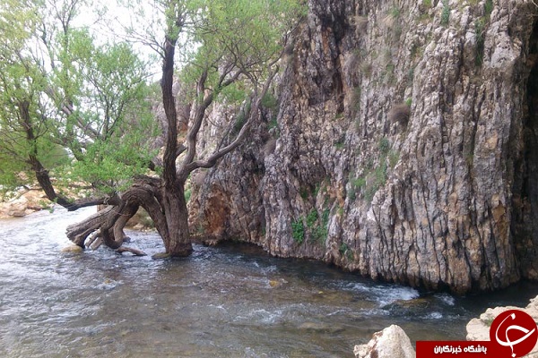 سفر نوروزی به استان فارس ( شهرستانهای سپیدان و لارستان)