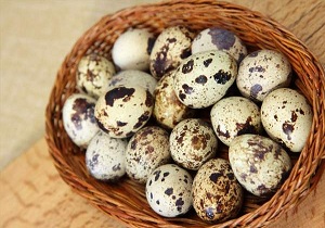 تخم "بلدرچین" کم بخورید