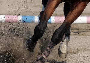 درخشش بانوی سوارکار کردستانی در رقابت های کشوری