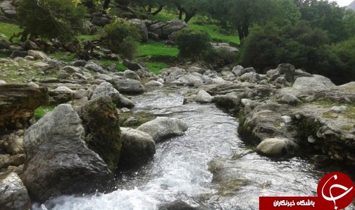 روستایی همیشه بهار در ایذه