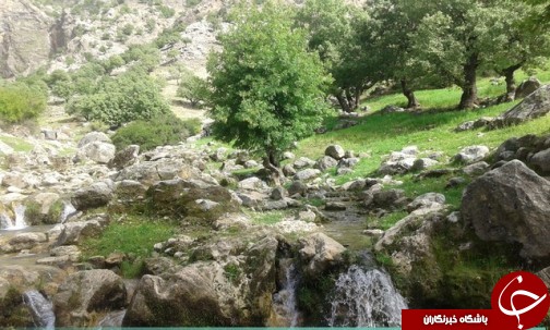 روستایی همیشه بهار در ایذه