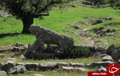 روستایی همیشه بهار در ایذه