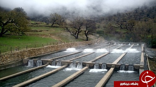 روستایی همیشه بهار در ایذه