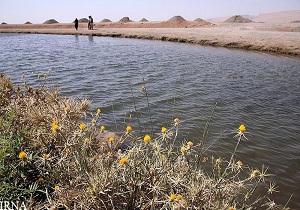 تالاب هشیلان مأمن بسیاری از جانداران