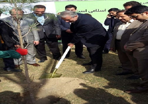 عکس/ کفاشیان در حال درختکاری