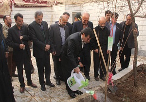 کاشت نهال در منزل شهیدان مدافع حرم