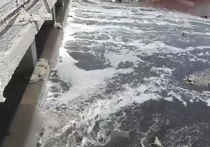 فاجعه زیست محیطی در ساحل بندرعباس + فیلم