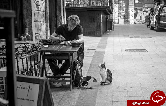 پنج نکته برای عکاسی بهتر با تلفن همراه (بخش نخست)