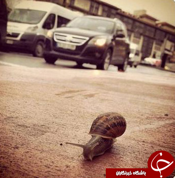 پنج نکته برای عکاسی بهتر با تلفن همراه (بخش نخست)
