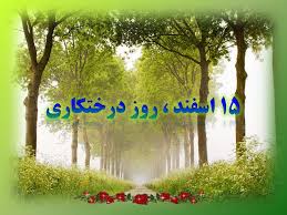 کاشت50 هزار اصله نهال