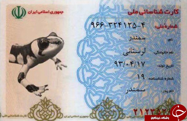 از سمندر لرستانی تا خرس بلوچی؛ کارت ملی حیات وحش را ببینید +تصاویر